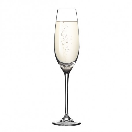 TESCOMA SOMMELIER poháre na šampanské 210 ml, 6 ks