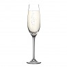 TESCOMA SOMMELIER poháre na šampanské 210 ml, 6 ks