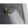 HANSGROHE Pulsify horná sprcha hlavová 260 1jet EcoSmart kartáčovaný bronz 24141140