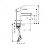 Hansgrohe Metropol umývadlová batéria 100 s výpusťou Push-Open leštený vzhľad zlata, 32500990