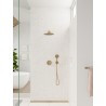 Hansgrohe Raindance Select S ručná sprcha 120 3jet karttáčovaný bronz, 26530140