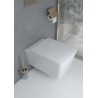 Hansgrohe AddStoris WC kefa nástenná, matné sklo/kartáčovaný bronz, 41752140