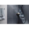 Hansgrohe AddStoris polička rohová do sprchy, chróm, 41741000