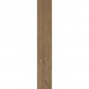 VILLEROY & BOCH Oak Park dlažba 20 x 120 cm brandy matt R9 2792HR30
