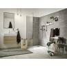 Hansgrohe WallStoris tyč nástenná 0,5 m matná čierna 27902670 - ROZBALENÝ TOVAR