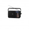 Panasonic RF-2400